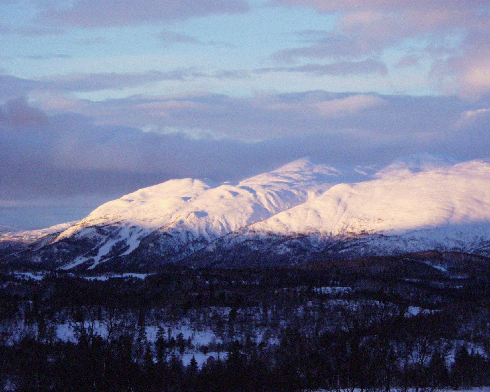 Rauland Hogfjellshotell Dış mekan fotoğraf