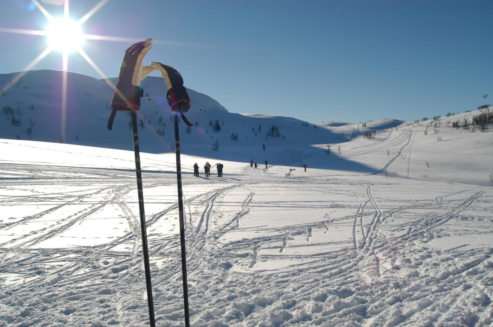 Rauland Hogfjellshotell Dış mekan fotoğraf